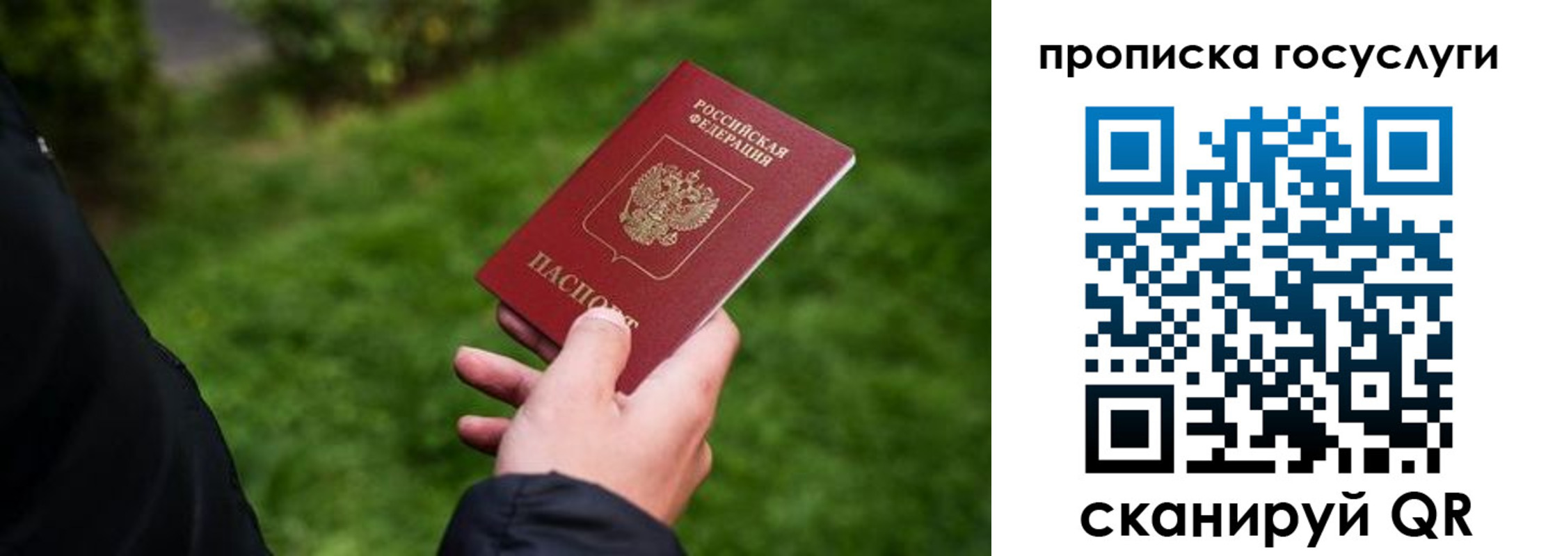 прописка для работы в Ивантеевке